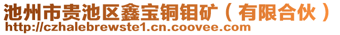 池州市貴池區(qū)鑫寶銅鉬礦（有限合伙）