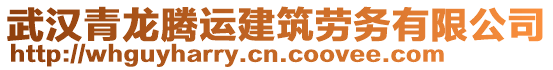 武漢青龍騰運建筑勞務有限公司