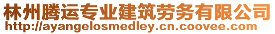 林州騰運專業建筑勞務有限公司