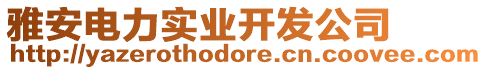 雅安電力實業(yè)開發(fā)公司