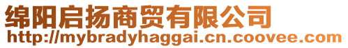 綿陽啟揚(yáng)商貿(mào)有限公司