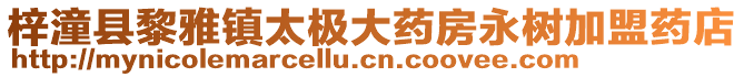 梓潼縣黎雅鎮(zhèn)太極大藥房永樹加盟藥店