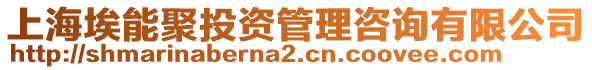 上海埃能聚投資管理咨詢有限公司