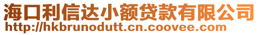 海口利信達小額貸款有限公司