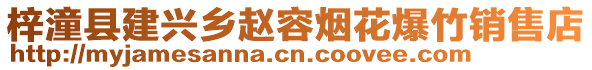 梓潼縣建興鄉(xiāng)趙容煙花爆竹銷售店