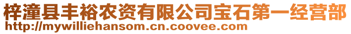 梓潼縣豐裕農(nóng)資有限公司寶石第一經(jīng)營部