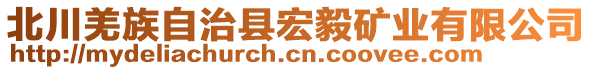 北川羌族自治縣宏毅礦業(yè)有限公司