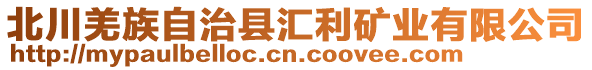 北川羌族自治縣匯利礦業(yè)有限公司