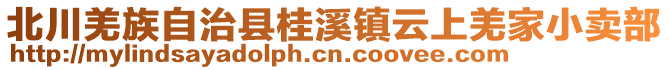 北川羌族自治縣桂溪鎮(zhèn)云上羌家小賣部