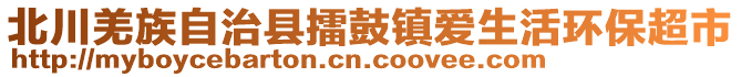 北川羌族自治縣擂鼓鎮(zhèn)愛生活環(huán)保超市