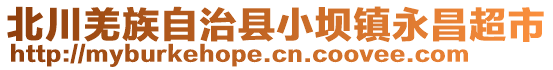 北川羌族自治縣小壩鎮(zhèn)永昌超市