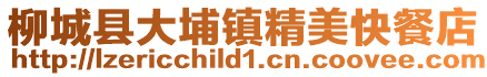 柳城縣大埔鎮(zhèn)精美快餐店