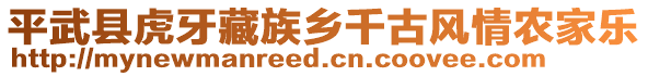 平武縣虎牙藏族鄉(xiāng)千古風情農(nóng)家樂