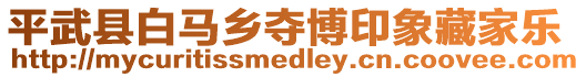 平武縣白馬鄉(xiāng)奪博印象藏家樂