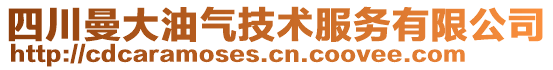 四川曼大油氣技術服務有限公司