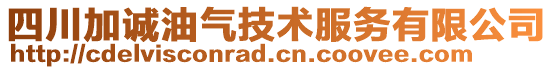 四川加誠油氣技術(shù)服務(wù)有限公司