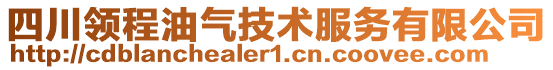 四川領(lǐng)程油氣技術(shù)服務(wù)有限公司