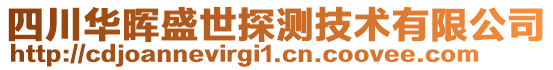 四川華暉盛世探測(cè)技術(shù)有限公司