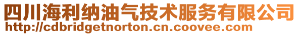 四川海利納油氣技術(shù)服務(wù)有限公司