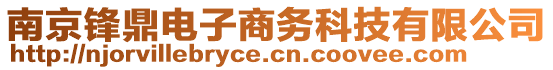 南京鋒鼎電子商務(wù)科技有限公司