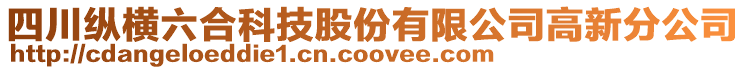 四川縱橫六合科技股份有限公司高新分公司