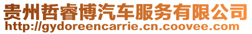 貴州哲睿博汽車服務有限公司