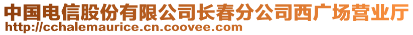 中國電信股份有限公司長春分公司西廣場營業(yè)廳