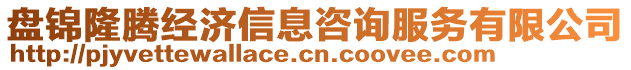 盤錦隆騰經(jīng)濟(jì)信息咨詢服務(wù)有限公司