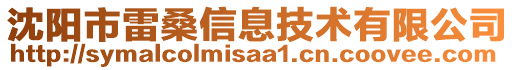 沈陽市雷桑信息技術(shù)有限公司