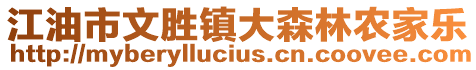 江油市文勝鎮(zhèn)大森林農(nóng)家樂(lè)