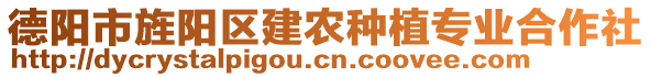 德陽市旌陽區(qū)建農(nóng)種植專業(yè)合作社