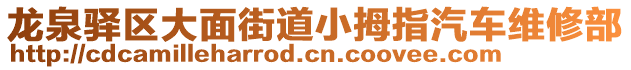 龍泉驛區(qū)大面街道小拇指汽車維修部