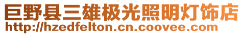 巨野縣三雄極光照明燈飾店