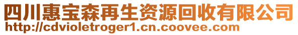 四川惠寶森再生資源回收有限公司