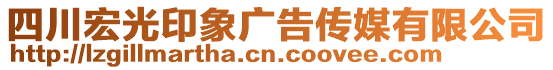 四川宏光印象廣告?zhèn)髅接邢薰? style=