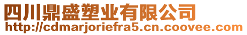 四川鼎盛塑業(yè)有限公司