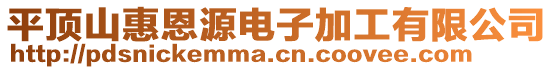 平頂山惠恩源電子加工有限公司