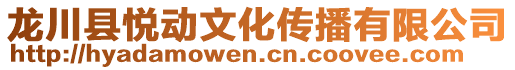 龍川縣悅動文化傳播有限公司