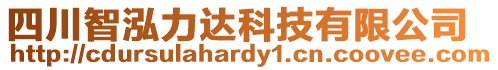 四川智泓力達(dá)科技有限公司