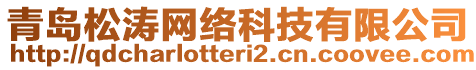 青岛松涛网络科技有限公司