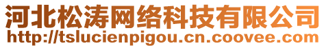 河北松涛网络科技有限公司