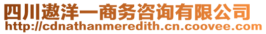 四川遨洋一商務(wù)咨詢有限公司