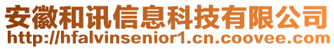 安徽和訊信息科技有限公司