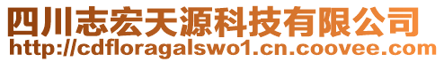 四川志宏天源科技有限公司