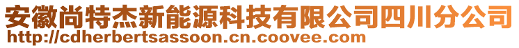 安徽尚特杰新能源科技有限公司四川分公司