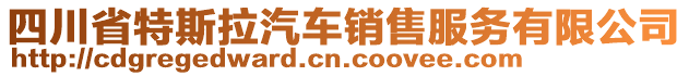 四川省特斯拉汽車銷售服務(wù)有限公司