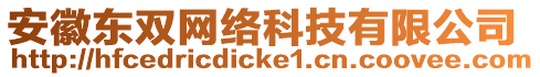 安徽東雙網(wǎng)絡(luò)科技有限公司