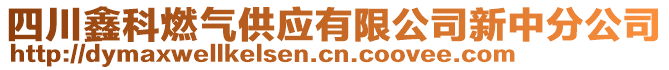 四川鑫科燃氣供應(yīng)有限公司新中分公司