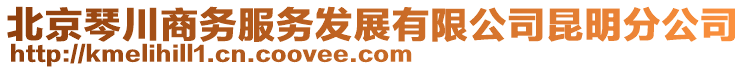 北京琴川商务服务发展有限公司昆明分公司