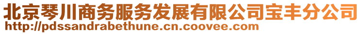 北京琴川商务服务发展有限公司宝丰分公司